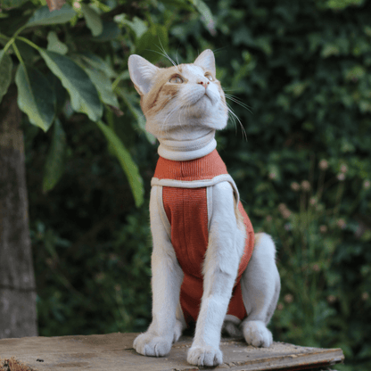 Body Cobre Protección (sin patas) Para Perros y Gatos