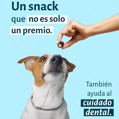 Bokato Snack Taste It! Dental Trocitos 150 g