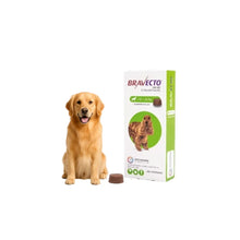 Bravecto Perro 10 - 20kg (500mg)