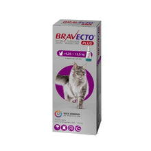 Bravecto Plus Gato 6.25 - 12.5kg (500mg)