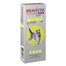 Bravecto Plus Gato 1.2 - 2.8kg (112.5mg)