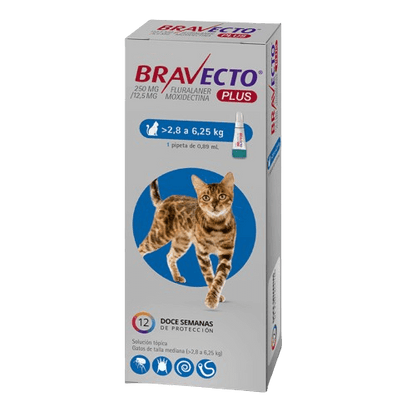 Bravecto Plus Gato 2.8 - 6.25 k (250 mg)