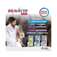Pack 4x Bravecto Plus Gato 2.8 - 6.25 k (250mg)