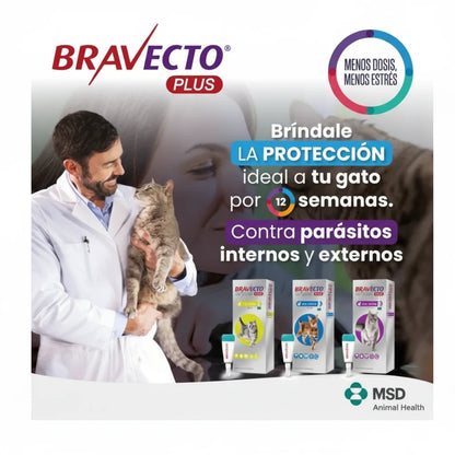 Bravecto Plus Gato 2.8 - 6.25 k (250 mg)