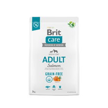 Brit Care Adult Salmon