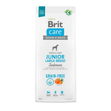 Brit Care Junior Large Breed Salmon