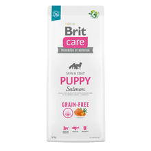Brit Care Puppy - Salmon