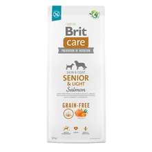 Brit Care Senior & Light Salmon