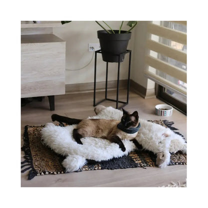 BRNX Cama Llama Talla L