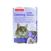 Calming Collar - Gato