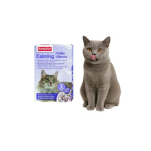 Calming Collar - Gato