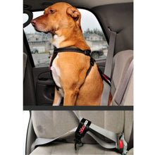 Car Restraint Ezydog