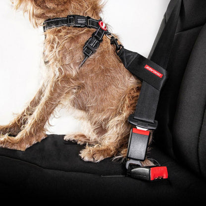 Car Restraint Ezydog