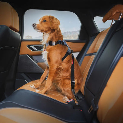 Click Isofix Ezydog