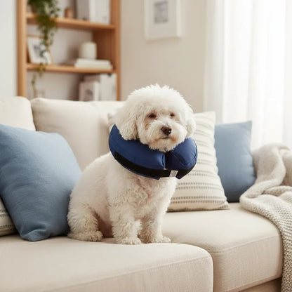 Collar Isabelino Inflable Procollar Marben Pets