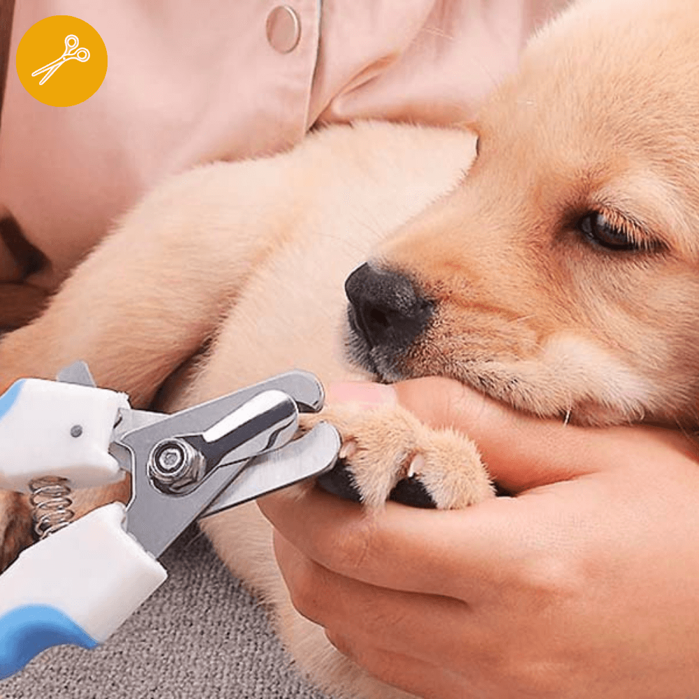 Cortaúñas Para Perros, Tijeras De Uñas Para Mascotas Con Extremo Curvado De Gran Tamano Recortadoras De Garras Impulsadas Por El Rendimiento