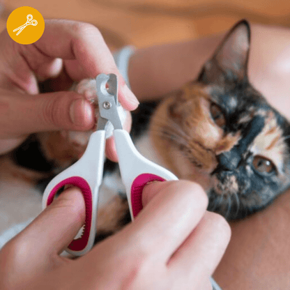 Corte de uñas (perro o gato)