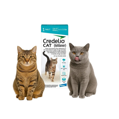 Credelio Cats 48 mg 2–8 Kg  1 Comprimido