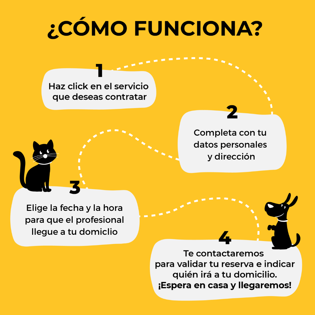 Desparasitación a domicilio perros y gatos