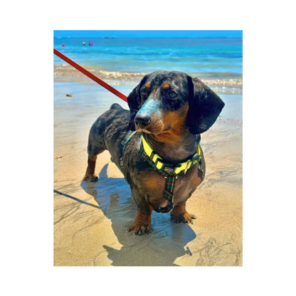 DOCG Bloqueador Solar Make Me Bluish 30 gr