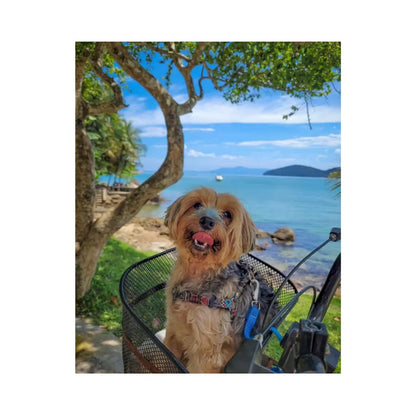 DOCG Bloqueador Solar Make Me Bluish 30 gr