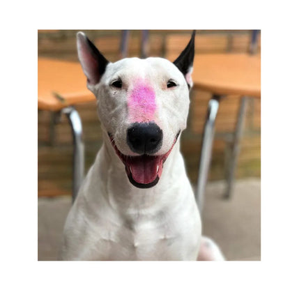 DOCG Bloqueador Solar Make Me Pinky 30 gr