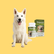Doguivit Adulto 60 Comprimidos