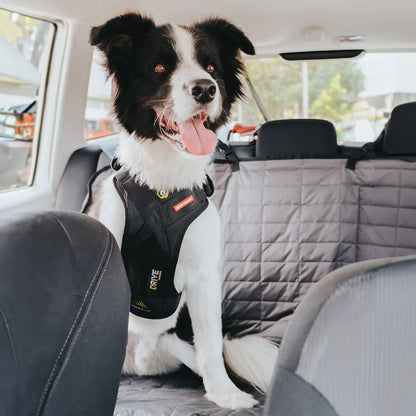 Drive Arnés Ezydog