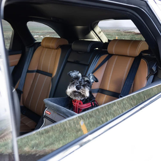 Drive Booster Seat Ezydog