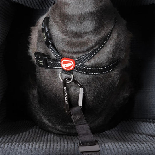 Drive Booster Seat Ezydog