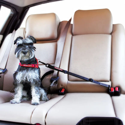 Drive Click Car Ezydog