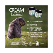 EcoAustralis Crema Reparadora Natural Matico, Boldo y Aloe Vera 60 ml