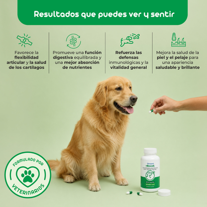 Flowpet + Boost Suplemento para Perros 60 Cápsulas