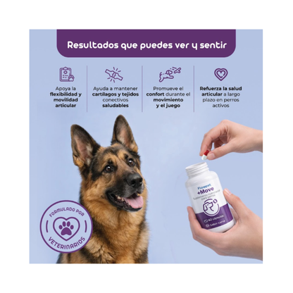 Flowpet + Move Suplemento Perro 60 Capsulas
