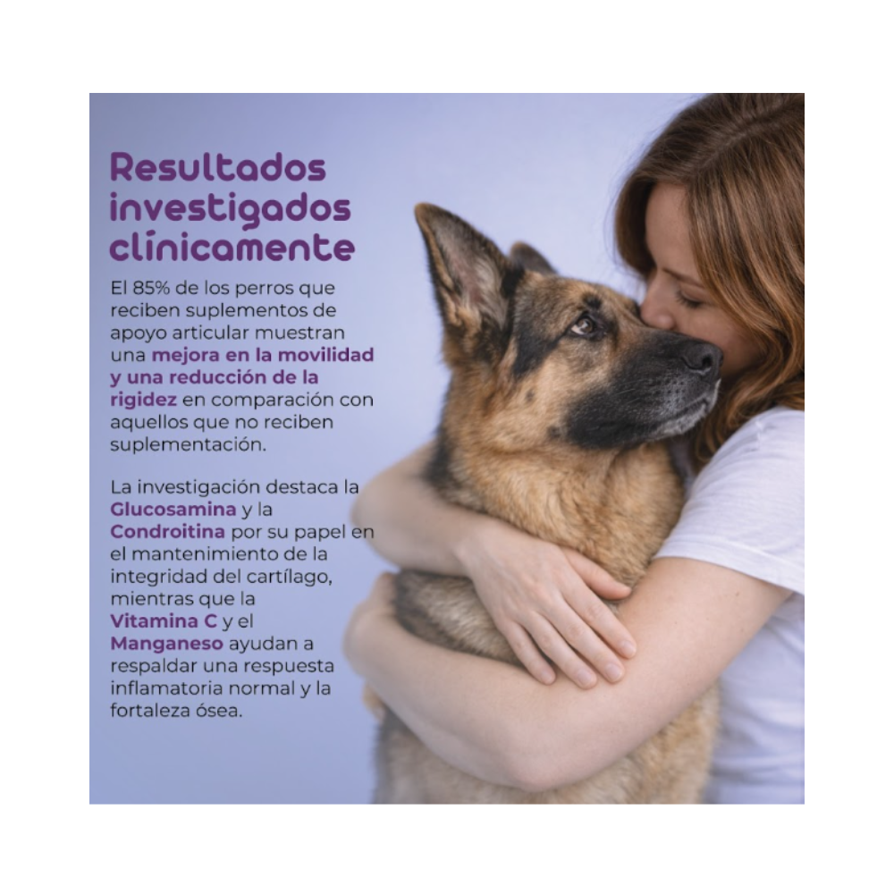 Flowpet + Move Suplemento Perro 60 Capsulas