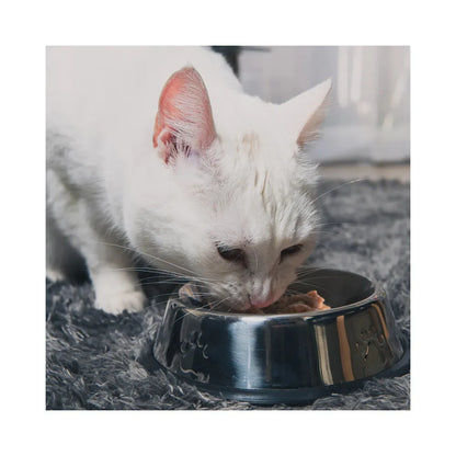 FOOR Lata Gato – Carne 160 g