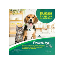 Pack 4x Frontline Plus Gatos 0.5 ml