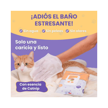 Guantes Húmedos de Limpieza Gato 20 Unidades