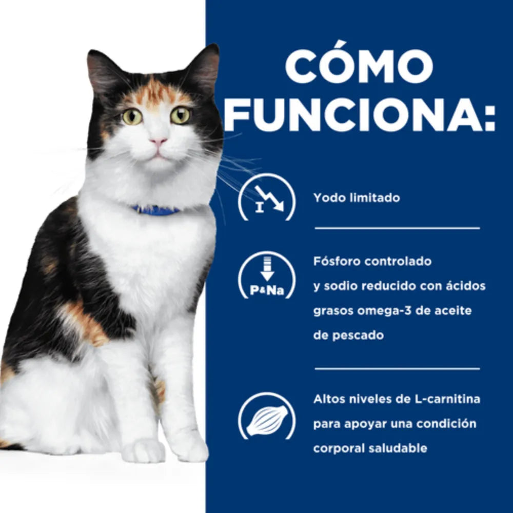 l carnitina tiroides NuEthix Formulations Lipsomal L-Carnitina Suplemento 600 mg con L-citrulina 1000 mg para control saludable del peso, metabolismo de grasa, produccin de energa y aumento del flujo sanguneo, para hombres y mujeres Mejore su viaje de acondicionamiento fsico con nuestras cpsulas de L L-carnitina para adelgazar en 2026: