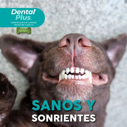Indomitable Dental Plus Perejil Menta 180 g