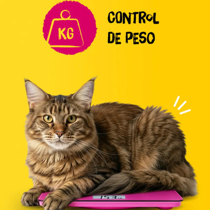 Josera Indoor 10 kg