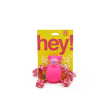 Juguete Perro Hey! - Mono Cuerda