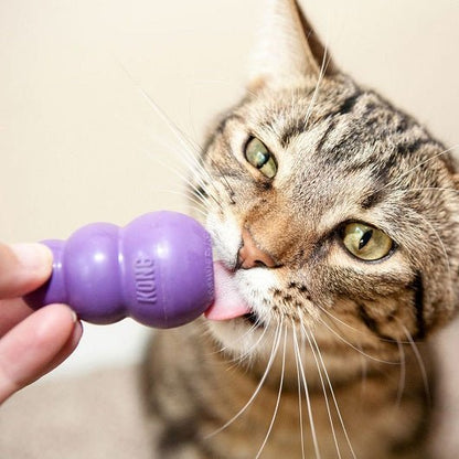 Kong Kitty