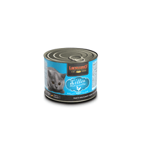 Leonardo Latas Quality Seleccion Kitten