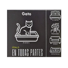 Sorpresa Gato