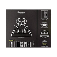 Sorpresa Perro