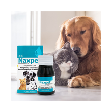 Naxpet 0.4% - Suspension Oral 20 ml