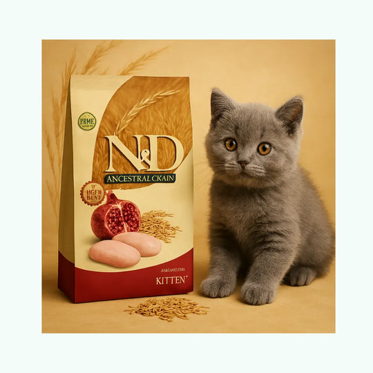N&D Ancestral Gato Pollo & Granada Kitten