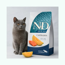 N&D Ocean Felino Salmon & Melon Castrados