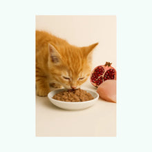 N&D Prime Pollo & Granada Lata Kitten 80Gr